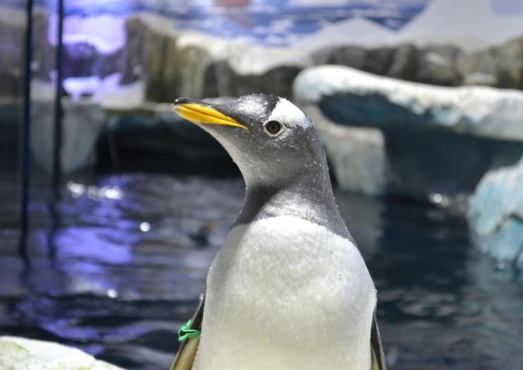 SEA LIFE® Konstanz
